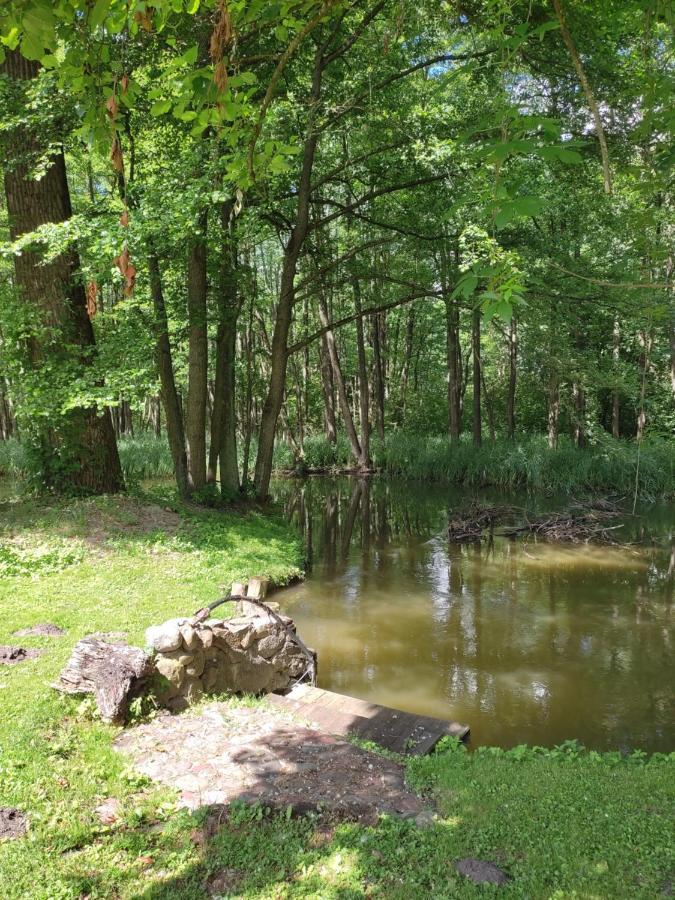 Agroturystyka Kajaki Sauna Pierogi Bakalarzewo Exterior foto